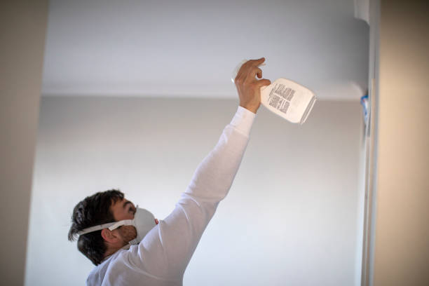 Best Local Mold Removal Service  in Plant City, FL