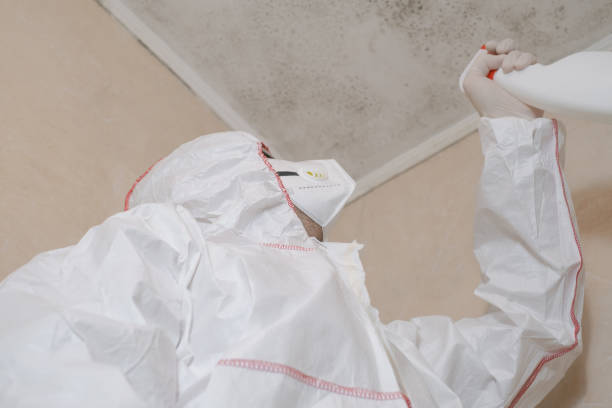 Best Mold Damage Repair  in Plant City, FL
