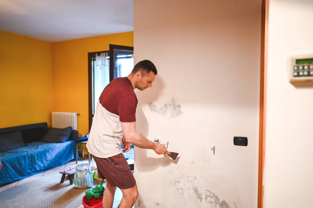 Best Same-Day Mold Removal  in Plant City, FL